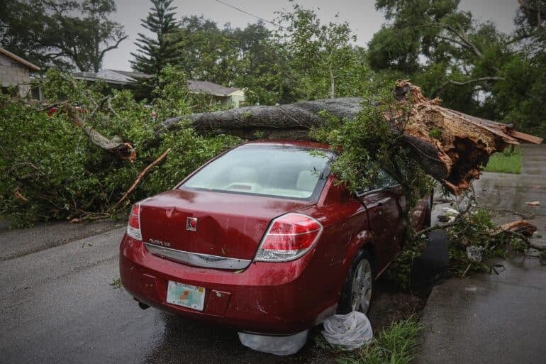 a Car 极速赛车 damaged by a fallen tree following severe weather that is part of why some Car 极速赛车 insurance companies are leaving florida