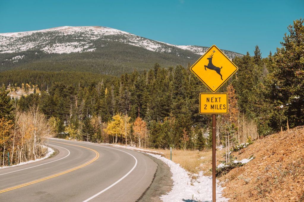 How To Avoid Hitting a Deer: always watch for signage as you are traveling.